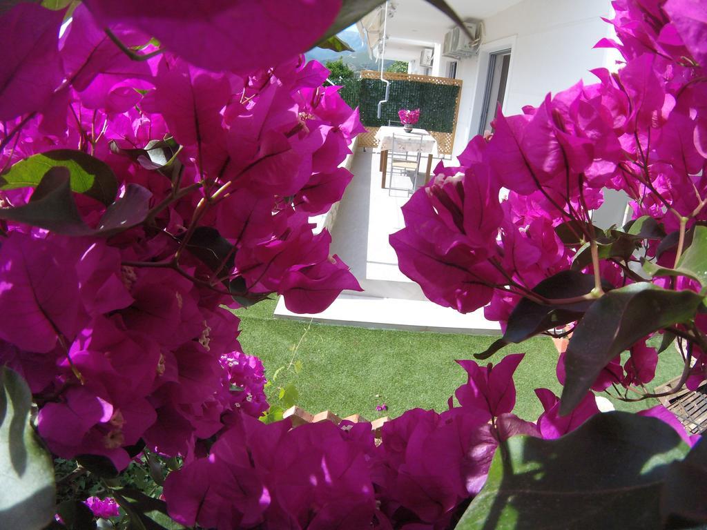 Bed & Breakfast Riviera 3*